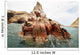 Sea Lion Rocky Formation Wall Decal