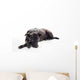 Bored Black Mixed-breed Dog Wall Decal
