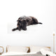 Bored Black Mixed-breed Dog Wall Decal