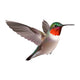 Flying Ruby-throated Hummingbird with Wall Decal