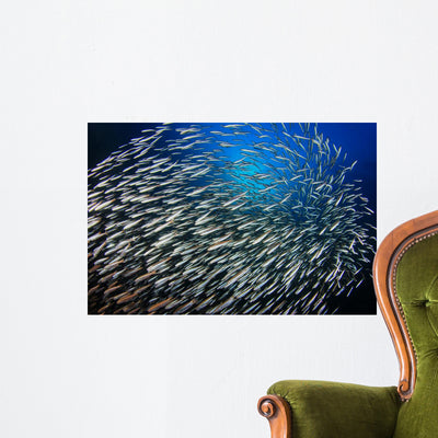 Sardines Fish School Ocean Wall Decal shown on a wall