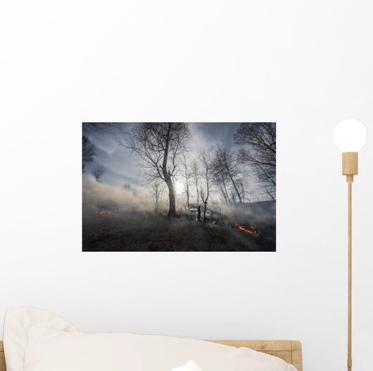 Fire Mixed Wood Forest Wall Decal