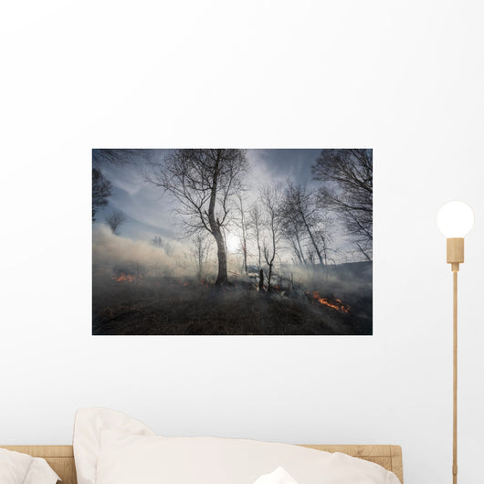 Fire Mixed Wood Forest Wall Decal