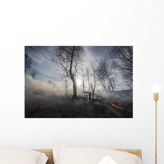Fire Mixed Wood Forest Wall Decal