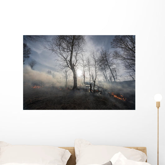 Fire Mixed Wood Forest Wall Decal