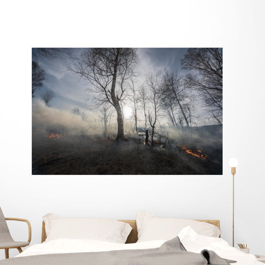 Fire Mixed Wood Forest Wall Decal