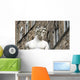 Florence Firenze Wall Decal