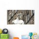 Florence Firenze Wall Decal