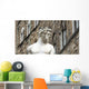 Florence Firenze Wall Decal