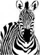 Zebra Wall Decal Design 1