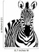 Zebra Wall Decal Design 1