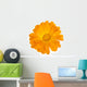 Calendula Flower White Wall Decal