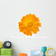 Calendula Flower White Wall Decal