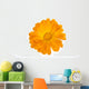 Calendula Flower White Wall Decal