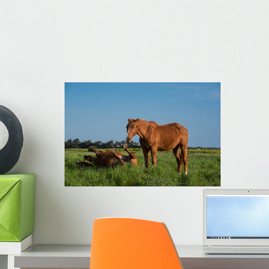 Chevaux Bruns Wall Decal