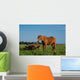 Chevaux Bruns Wall Decal