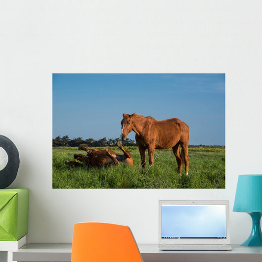 Chevaux Bruns Wall Decal