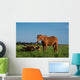 Chevaux Bruns Wall Decal