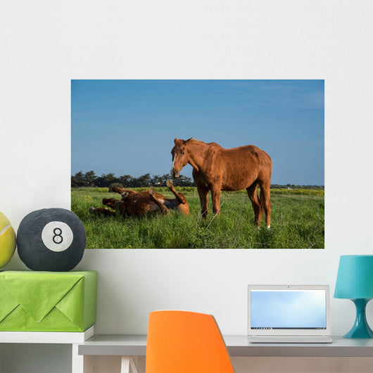 Chevaux Bruns Wall Decal