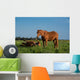 Chevaux Bruns Wall Decal