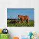 Chevaux Bruns Wall Decal