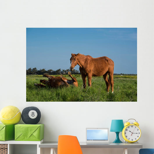 Chevaux Bruns Wall Decal