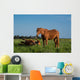 Chevaux Bruns Wall Decal
