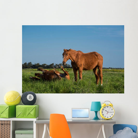 Chevaux Bruns Wall Decal