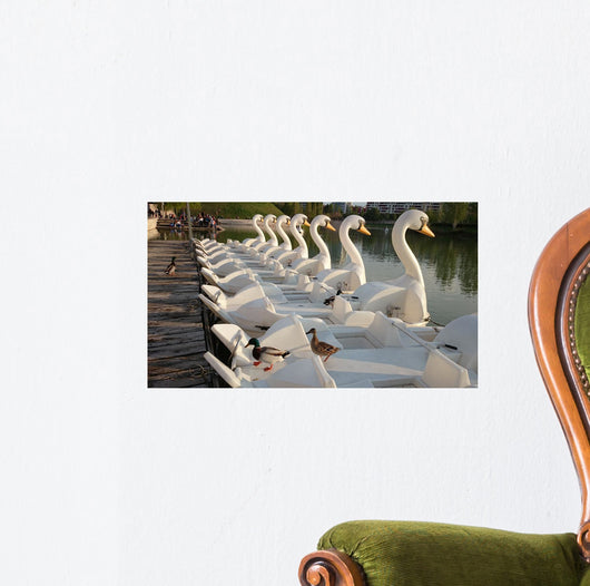 Patos Subidos En Patos Wall Decal
