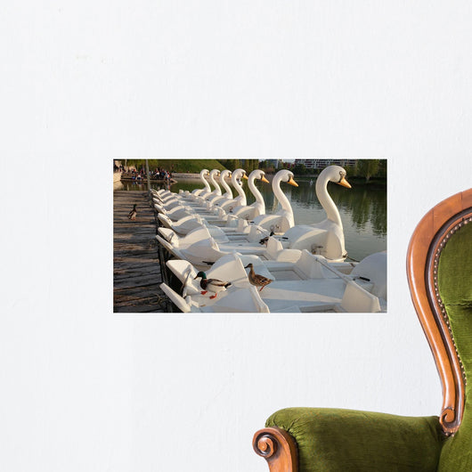 Patos Subidos En Patos Wall Decal