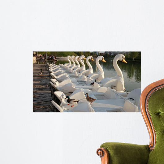 Patos Subidos En Patos Wall Decal