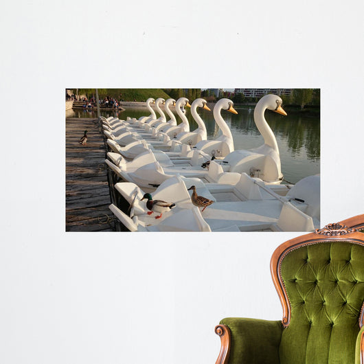 Patos Subidos En Patos Wall Decal