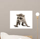 Baby Raccoon 6 Weeks Wall Decal Design 2