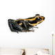 Poison Dart Frog Wall Decal