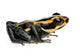 Poison Dart Frog Wall Decal