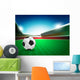 Soccer and Ground Stadium Wall Decal