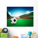 Soccer and Ground Stadium Wall Decal