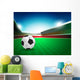 Soccer and Ground Stadium Wall Decal