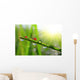 Fresh Green Grass with Wall Decal