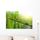 Fresh Green Grass with Wall Decal