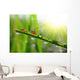 Fresh Green Grass with Wall Decal
