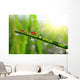 Fresh Green Grass with Wall Decal