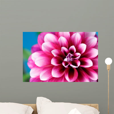 Dahlia Wall Decal shown on a wall