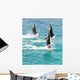 Bottlenose Dolphins Wall Decal