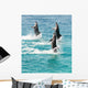 Bottlenose Dolphins Wall Decal