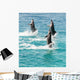 Bottlenose Dolphins Wall Decal