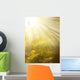 Sky and Sun Wall Decal
