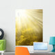 Sky and Sun Wall Decal