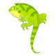 Cartoon Iguana Wall Decal