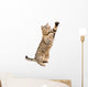 Portrait Frisky Playful Cat Wall Decal